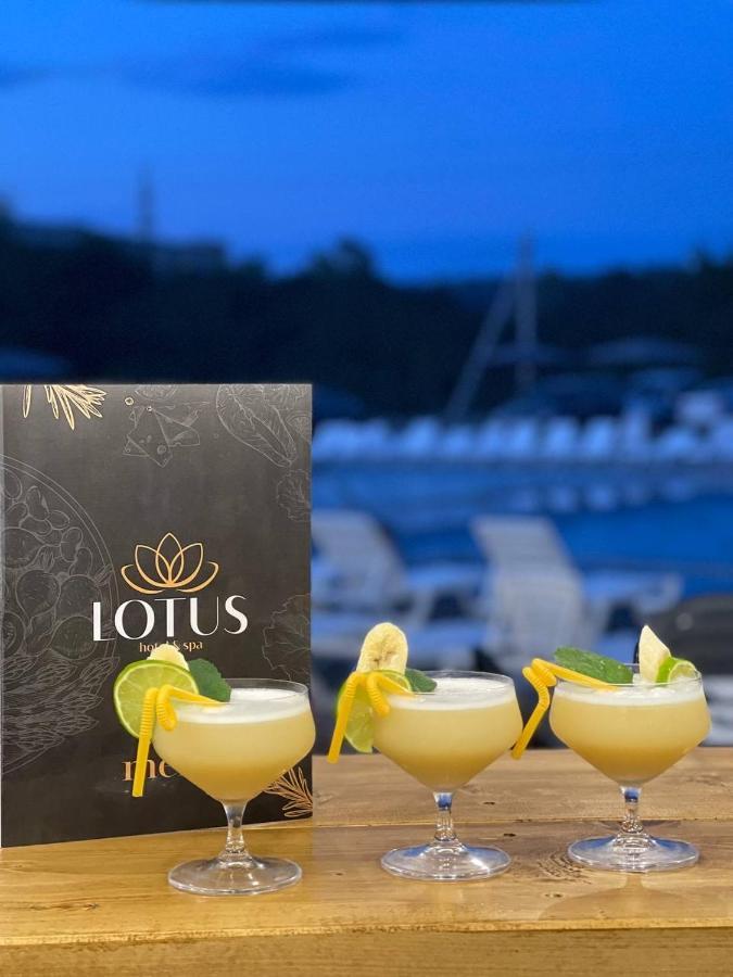 Lotus & Spa Solotvyno Extérieur photo